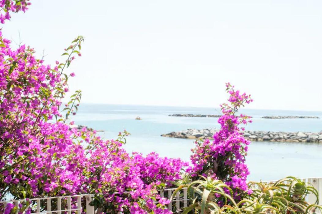 Giardino In Citta; Centralissimo Sanremo Ngoại thất bức ảnh