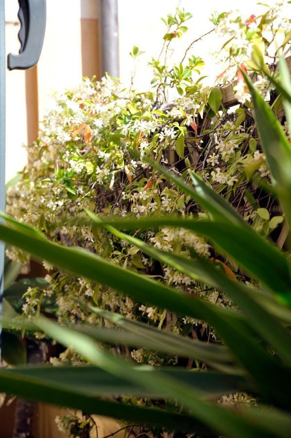 Giardino In Citta; Centralissimo Sanremo Ngoại thất bức ảnh