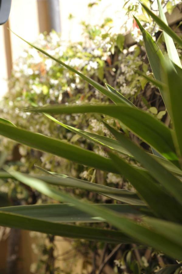 Giardino In Citta; Centralissimo Sanremo Ngoại thất bức ảnh