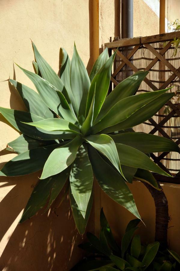 Giardino In Citta; Centralissimo Sanremo Ngoại thất bức ảnh